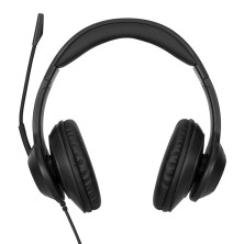 Targus AEH102GL auricular y casco Auriculares Alámbrico Diadema Llamadas Música USB tipo A Negro