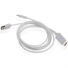 Cable Adaptador