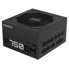 Gigabyte P750GM unidad de fuente de alimentación 750 W 20+4 pin ATX ATX Negro