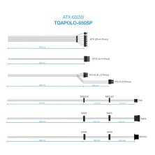 TooQ TQAPOLO-650SP unidad de fuente de alimentación 650 W 20+4 pin ATX ATX Negro