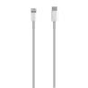 Cable USB 2.0 AISENS | USB-C A Lightning PD 2A | Lightning/M-USB-C/M | 0.5m | Blanco