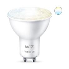 WiZ Foco 4,9 W (Equiv. 50 W) PAR16 GU10