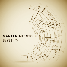 Mantenimiento GOLD (a partir de 5 ordenadores)