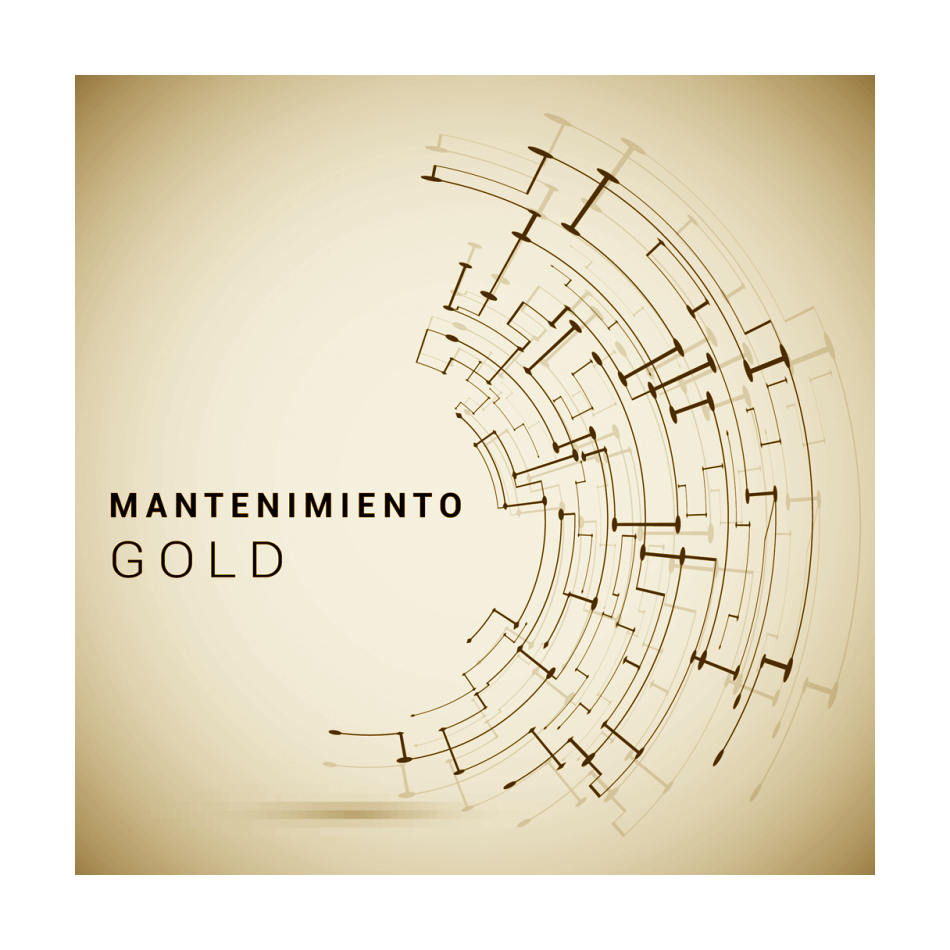 Mantenimiento GOLD (a partir de 5 ordenadores)