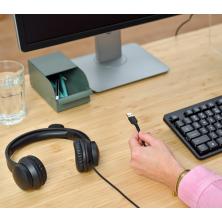 Trust HS-201 Auriculares Alámbrico Diadema Oficina/Centro de llamadas USB tipo A Negro