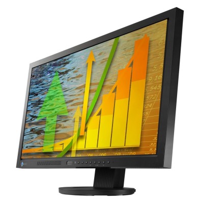 Monitor EIZO EV233W| VGA, DVI , DP | Lcd 23"