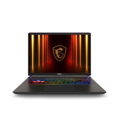 MSI Vector A16 HX Ryzen 9 8940HX RTX 5080 64GB | 1TB SSD