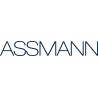ASSMANN Electronic