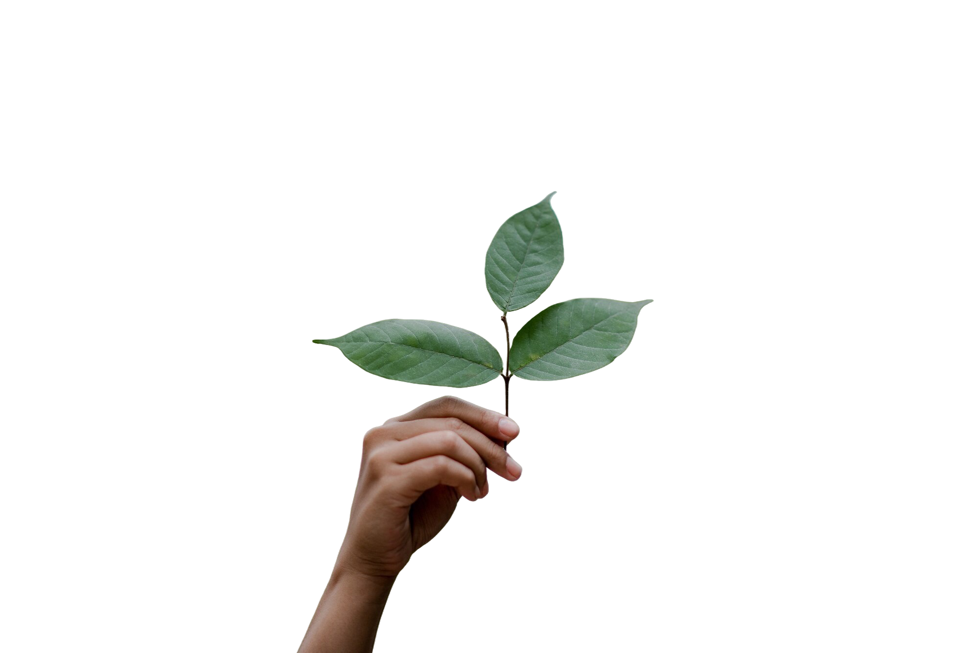 Menos CO2. Más responsabilidad.