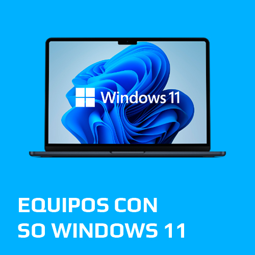 Windows 11